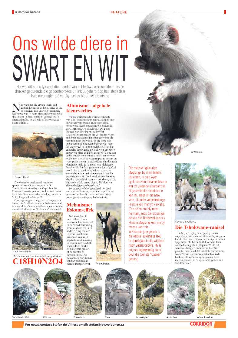 Corridor Gazette 10 January 2024 page 6