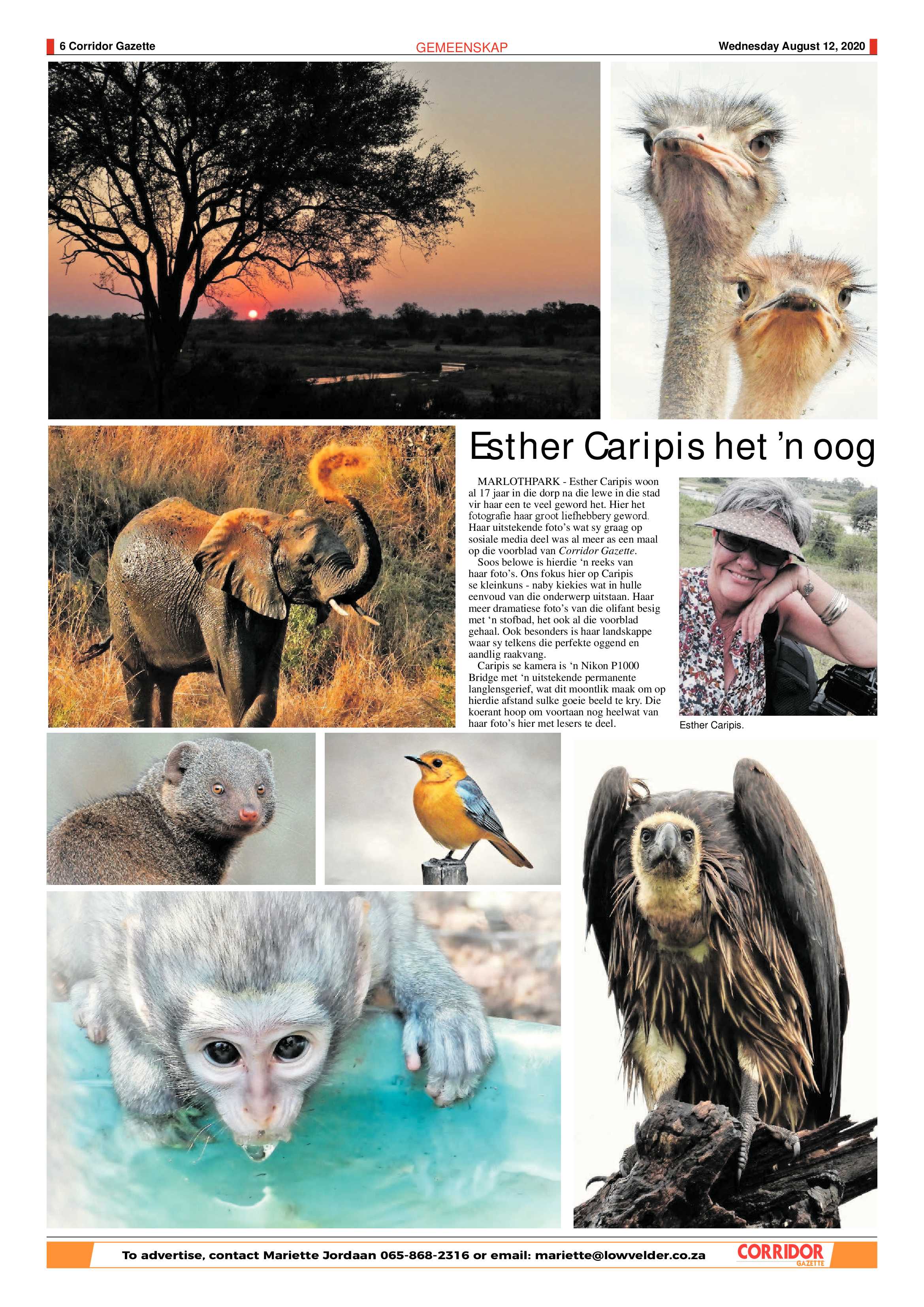 Corridor Gazette 12 August 2020 page 6