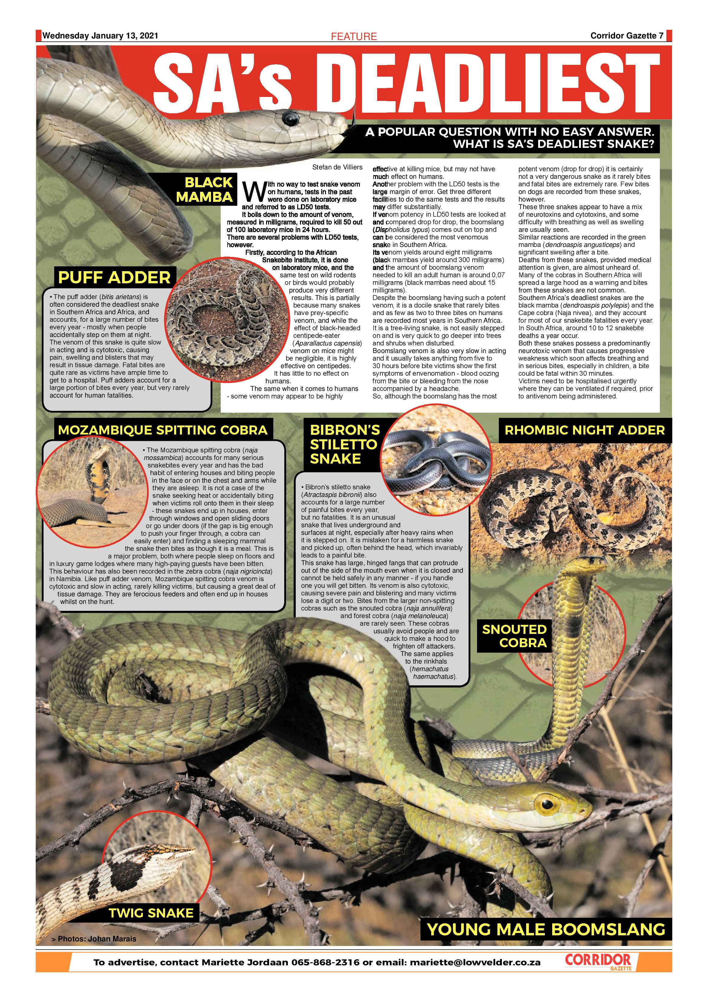 Corridor Gazette 13 January 2021 page 7