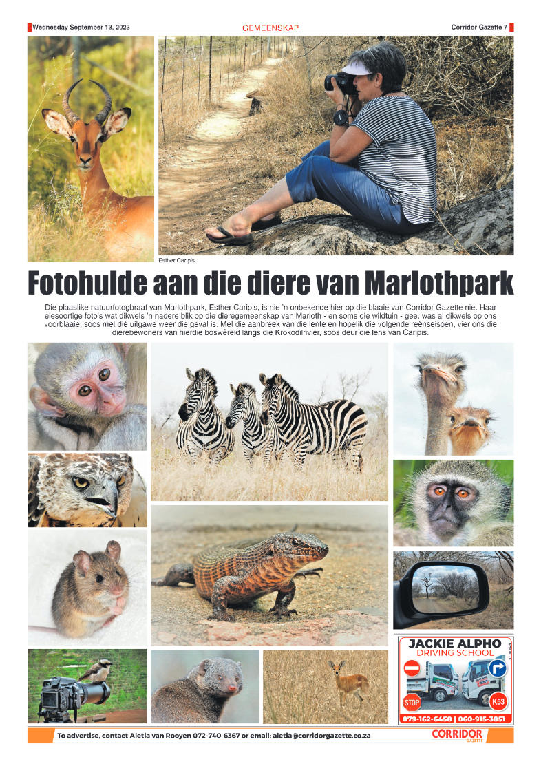 Corridor Gazette 13 September 2023 page 7