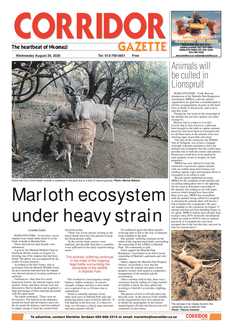 Corridor Gazette 26 August 2020